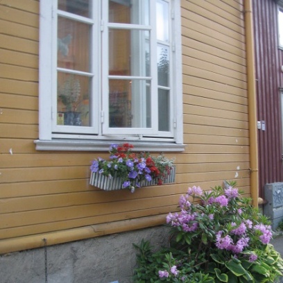 windows in Trondheim