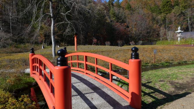 Japanese garden bridge in Hakone