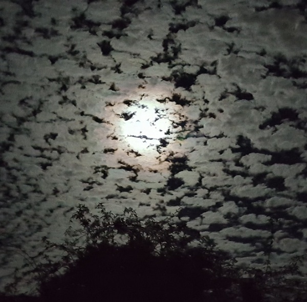 mackerel sky clouds at night.